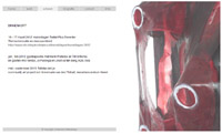 website  Brigitte Picavet